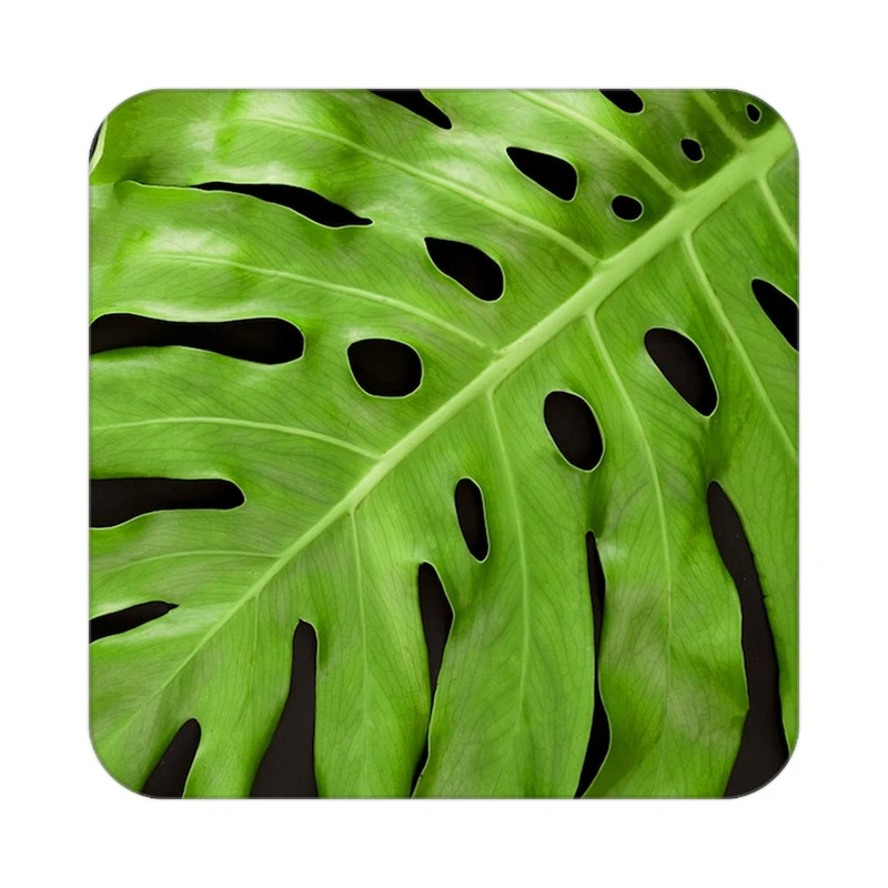 زیر لیوانی کاکتی طرح گل مدل mp19033