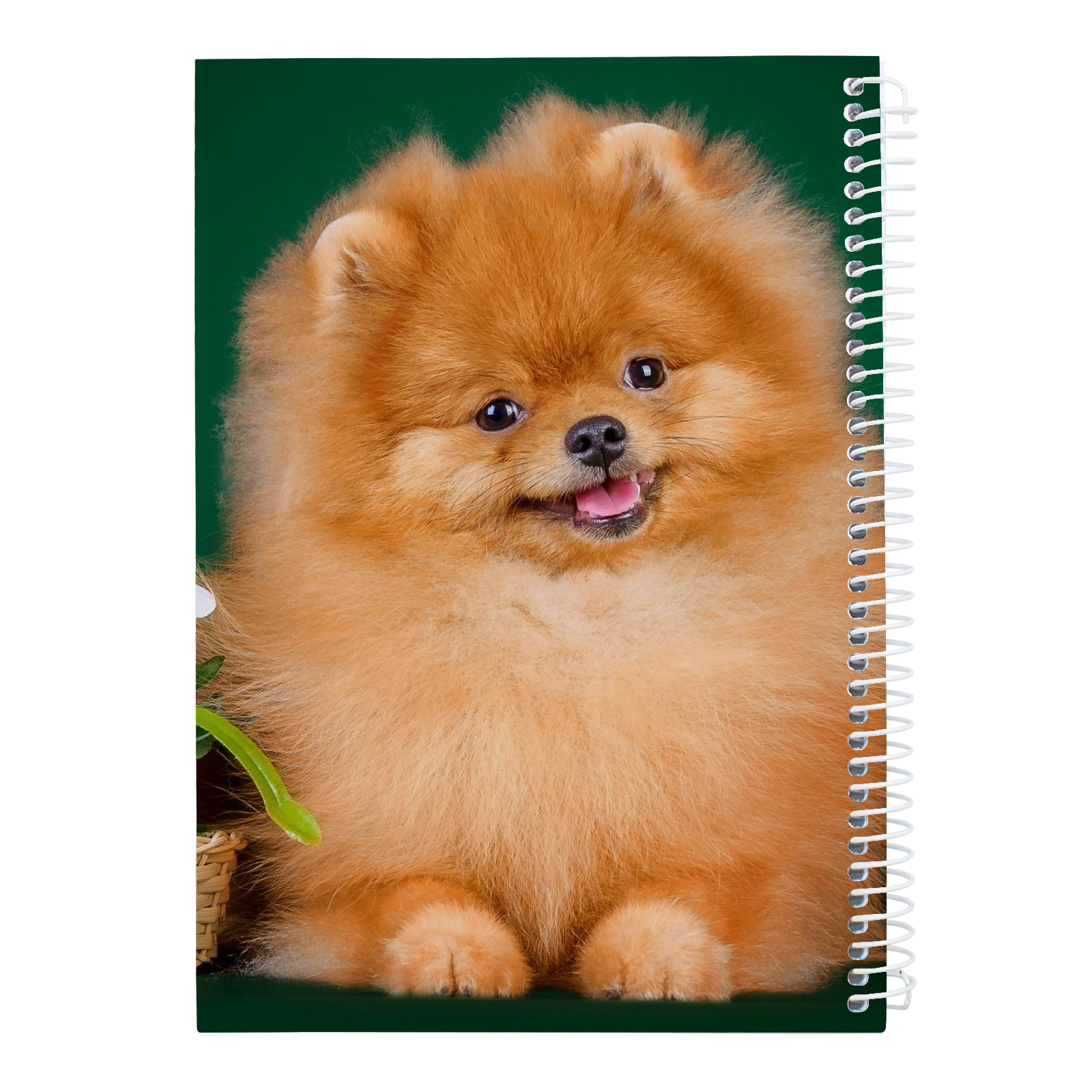  دفتر نقاشی 40 برگ کارنیلا طرح سگ کوچولو کد kdn674