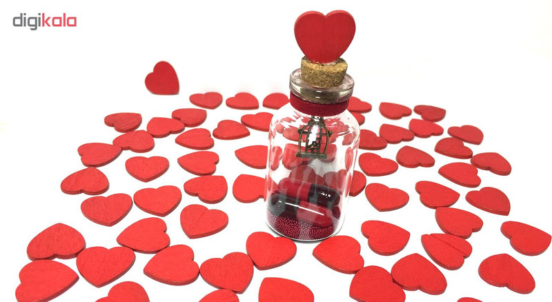 بطری دکوری طرح مرغ آمین مدل Bottle Love19