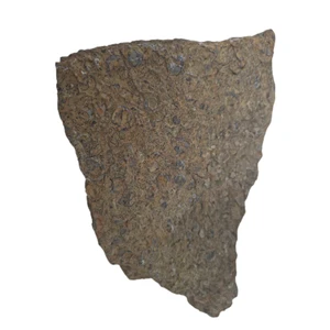 سنگ راف فسیل کد 03