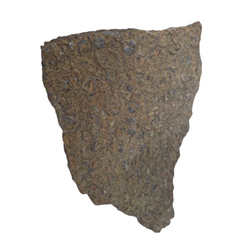 سنگ راف فسیل کد 03 سنگ راف فسیل کد 03