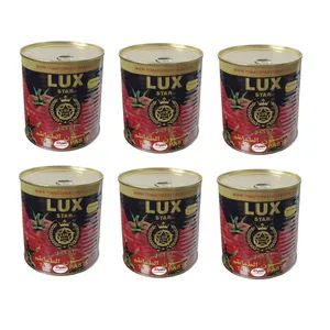 رب گوجه لوکس استار 800 گرم بسته 6 عددی