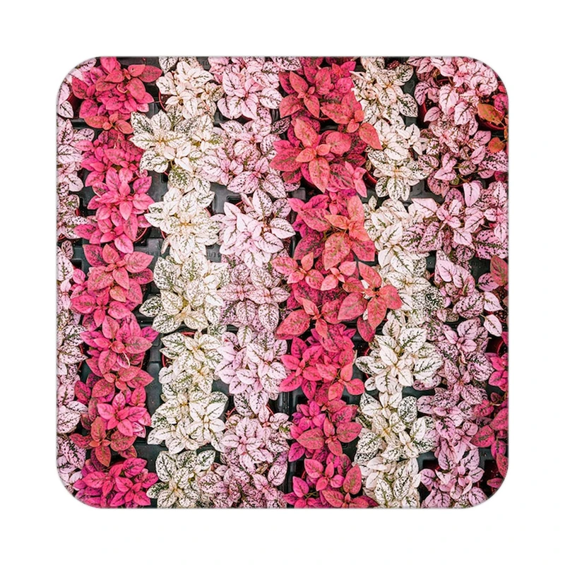 زیر لیوانی کاکتی طرح گل مدل mp17788