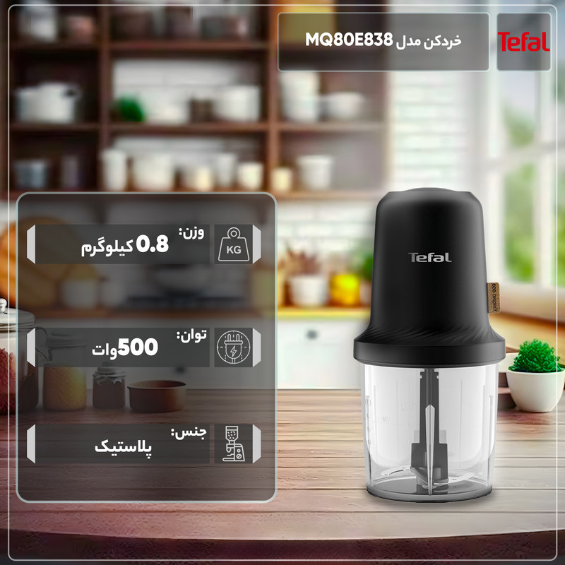 خردکن تفال مدل MQ80E838