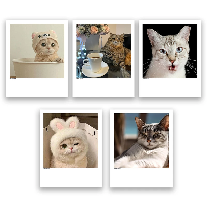 آویز تزیینی عرش مدل فانتزی گربه کد Asa798 مجموعه پنج عددی