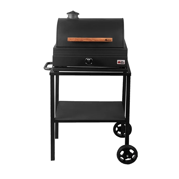 باربیکیو گازی مدل P50