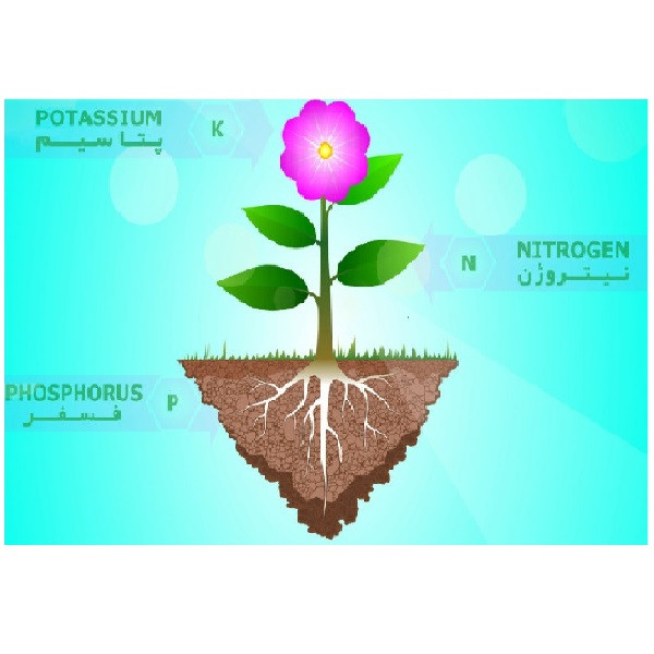 کود کامل سه بیست کد 20-20-20 NPK وزن 50 گرم