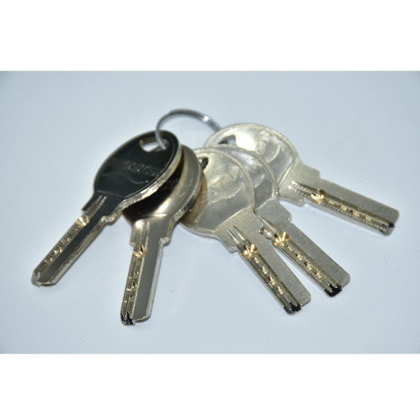 قفل در حیاطی تری لاین کد 52-55