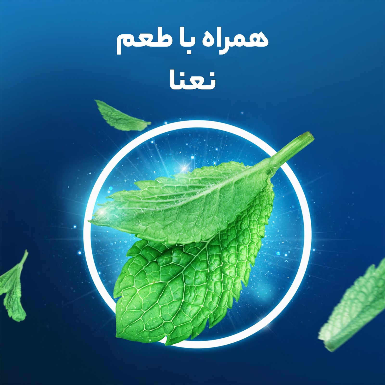 خمیردندان اورال-بی مدل Multi Protection 24 Hour حجم 75 میلی لیتر -  - 5