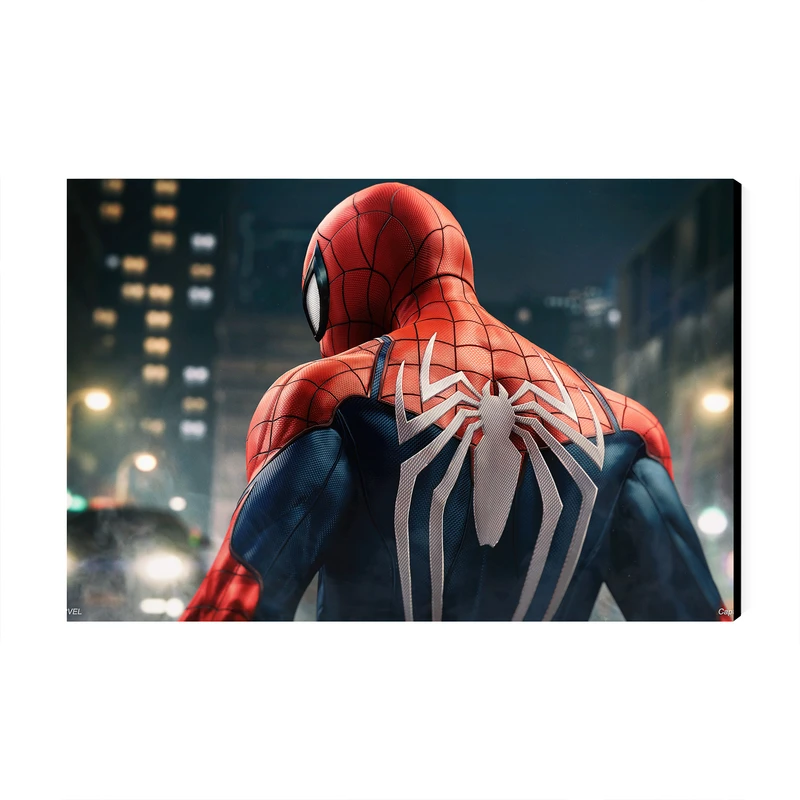 تابلو شاسی عرش مدل فانتزی مرد عنکبوتی کد As3319