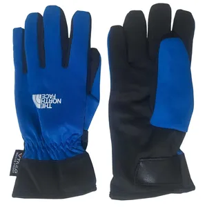دستکش ورزشی نورث فیس مدل NBRED