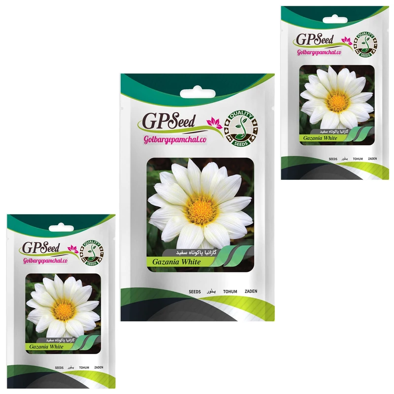 بذر گل گازانیا پاکوتاه سفید گلدانی گلبرگ پامچال کد GPF-261 مجموعه 3 عددی