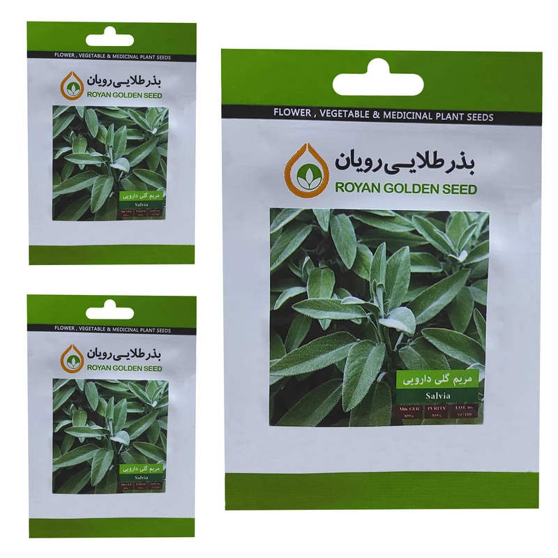  بذر مریم گلی دارویی بذر طلایی رویان کد BZT-146 مجموعه 3 عددی