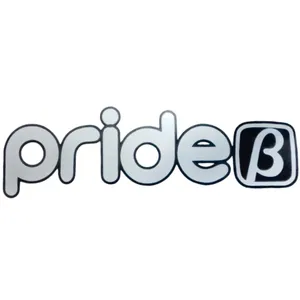 برچسب صندوق خودرو آراکس یدک مدل AY-1303 طرح pride B مناسب برای پراید صبا