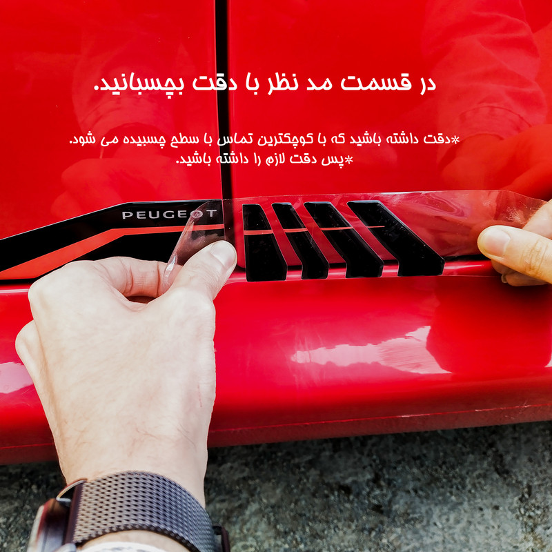 محافظ درب خودرو آرسی زد اسپرت مدل BKRD206207SM مناسب برای پژو 207