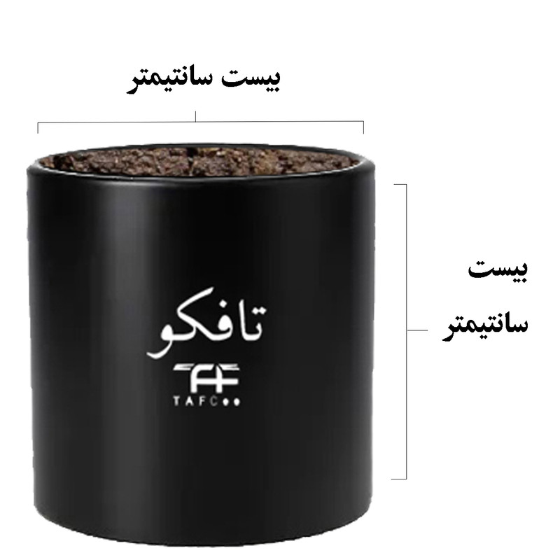 گیاه طبیعی مانسترا تافکو مدل پنجه شیری کد 2x گیاه طبیعی مانسترا تافکو مدل پنجه شیری کد 2x