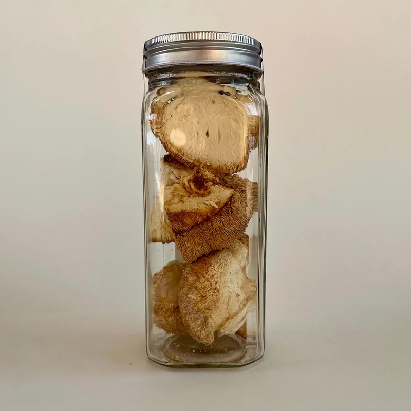 عکس شماره 9 : قارچ یال شیر خشک آران-50 گرم