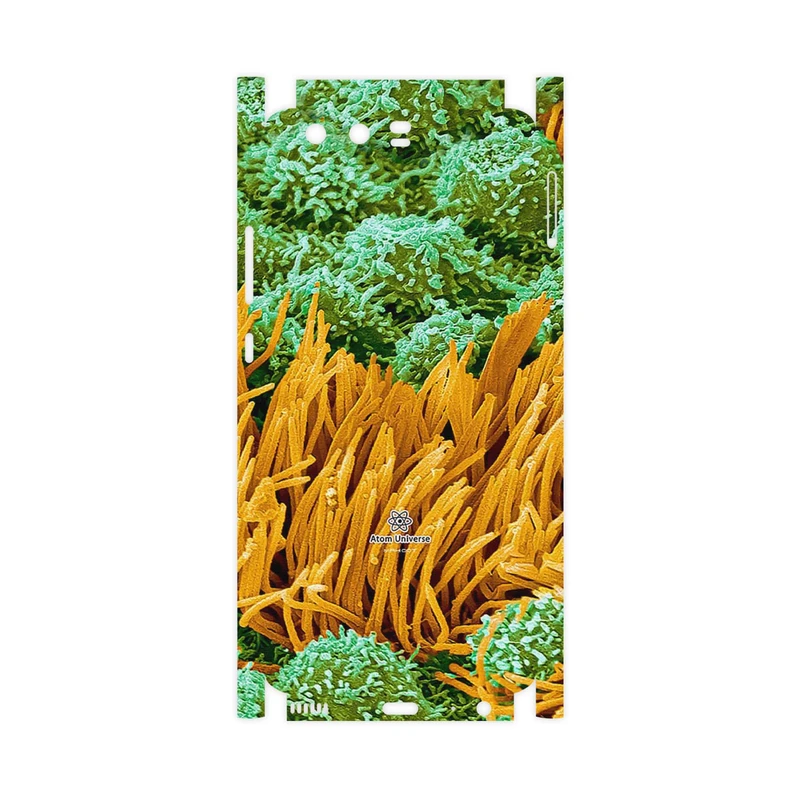 برچسب پوششی ماهوت مدل Atom Universe 6-FullSkin مناسب برای گوشی موبایل هوآوی P10