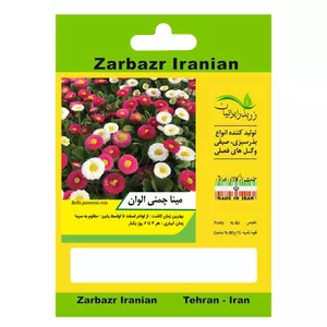 بذر گل مینا چمنی الوان زربذر ایرانیان کد ZBP-110