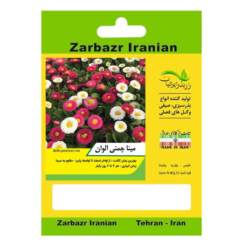بذر گل مینا چمنی الوان زربذر ایرانیان کد ZBP-110 بذر گل مینا چمنی الوان زربذر ایرانیان کد ZBP-110