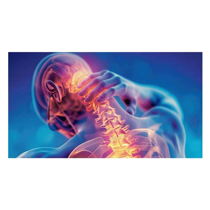 فرش پارچه‌ای مدل فرشینه طرح تصویر پزشکی  مسیر ستون‌فقرات کد AR3061524