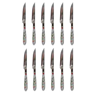 کارد میوه خوری بیوتی مدل Green Flower بسته 12 عددی