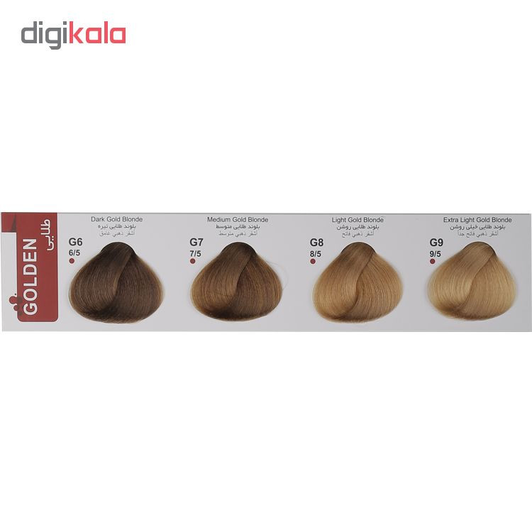 رنگ مو فور گیرلز سری طلایی شماره G6 حجم 120 میلی لیتر رنگ بلوند طلایی تیره