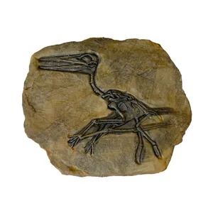 دیوارکوب مدل فسیل دایناسور کد 33