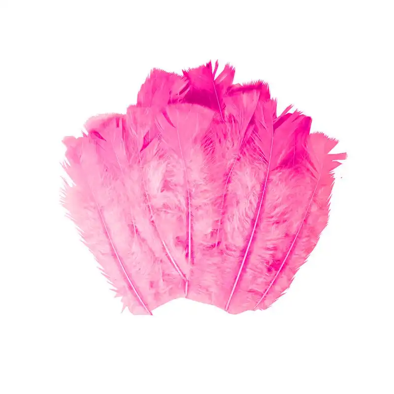 پر دریم کچر مدل D6 بسته 20 عددی