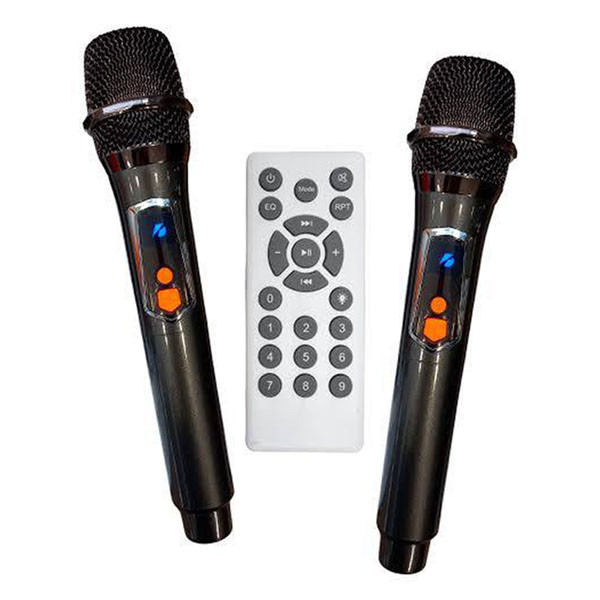 اسپیکر بلوتوثی قابل حمل برودو مدل BTS Dual 8inch