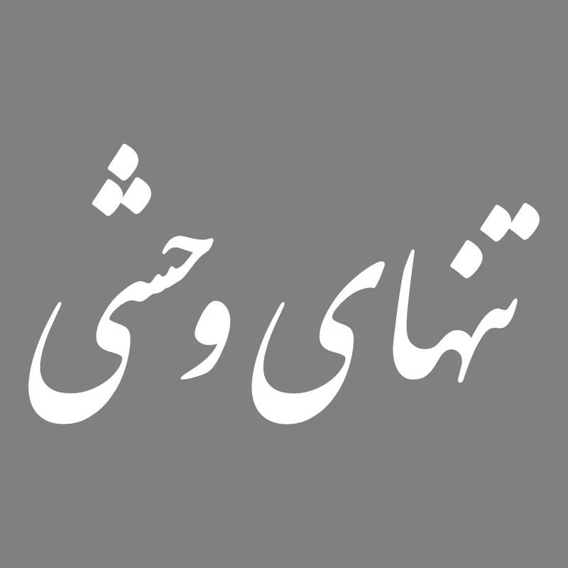 برچسب بدنه خودرو طرح تنهای وحشی کد MT-W449