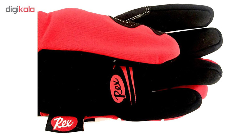 دستکش اسکی رکس مدل Thermo Gloves touch