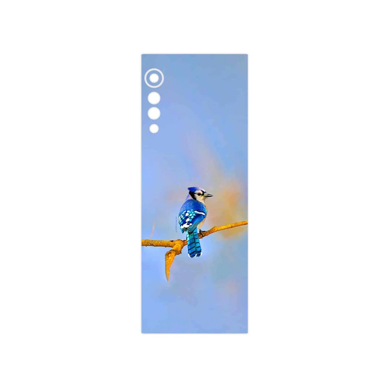 برچسب پوششی ماهوت مدل Cyanocitta cristata مناسب برای گوشی موبایل ال جی Velvet 5G