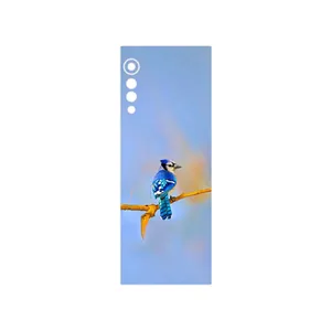 MAHOOT Cyanocitta cristata Cover Sticker for LG Velvet 5G
