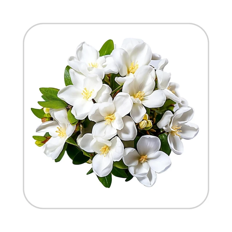 زیر لیوانی کاکتی طرح گل مدل mp16146