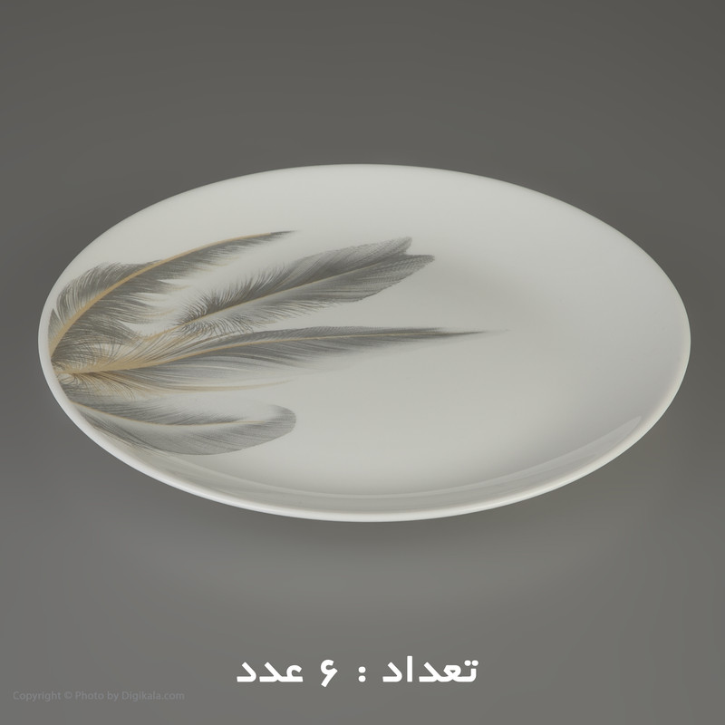 سرویس 26 پارچه اپال طرح دایره مدل کلاسیک آیهان