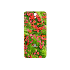 MAHOOT Atom Universe 3 Cover Sticker for Lenovo Vibe S1 Lite