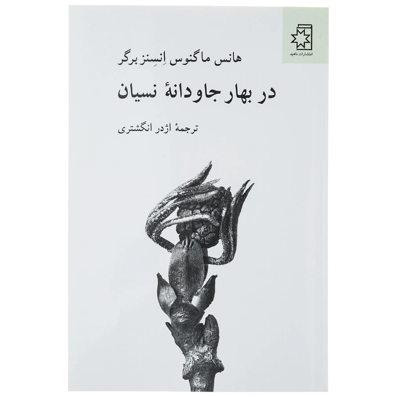 کتاب در بهار جادوانه نسیان اثر هانس ماگنوس انسنزبرگر