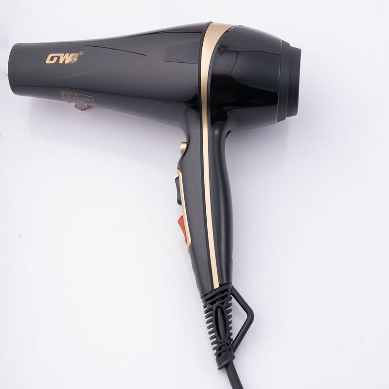 سشوار حرفه ای جی دبلیو مدل X10