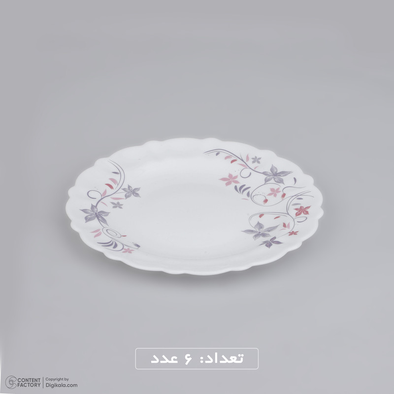 سرويس 25 پارچه آیروپال مدل يگانه