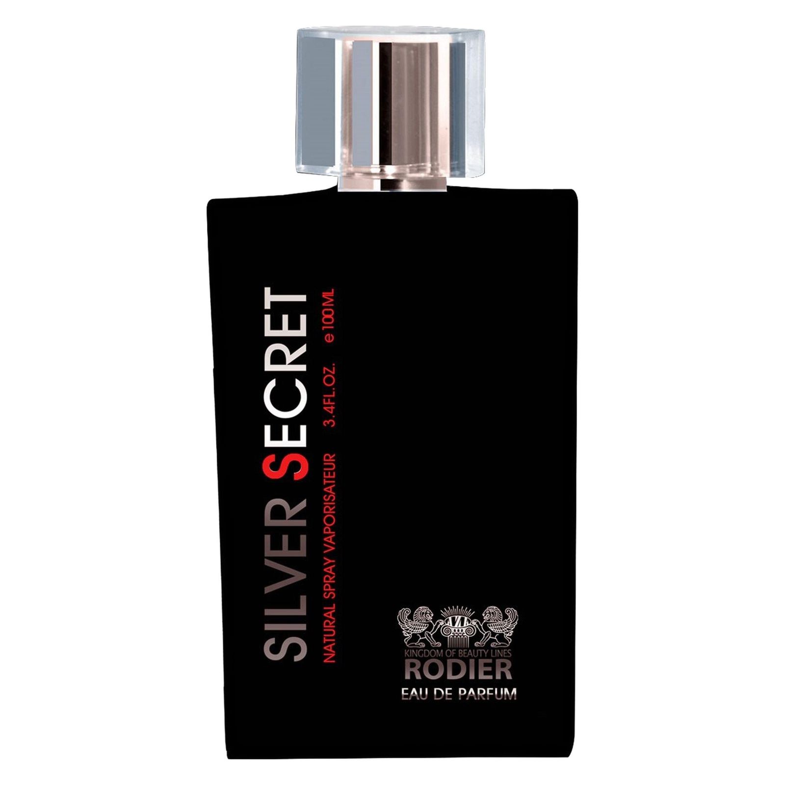 ادو پرفیوم مردانه رودیر مدل Silver Secret حجم 100 میلی لیتر -  - 1
