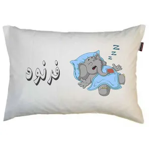 رو بالشی مد برتر مدل فانتزی طرح اسم فرنود کد m7