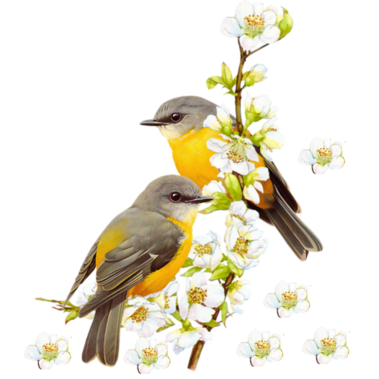 استیکر دیواری صالسو آرت طرح lovely pajaro az