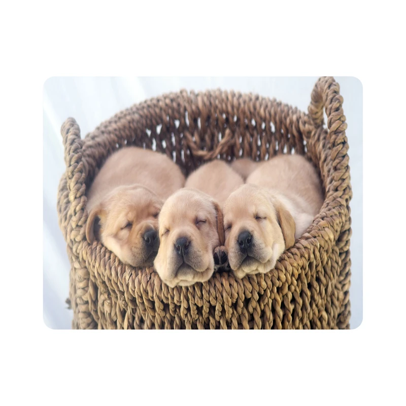 ماوس پد اطلس آبی  طرح سگ و سبد  مدل T7800