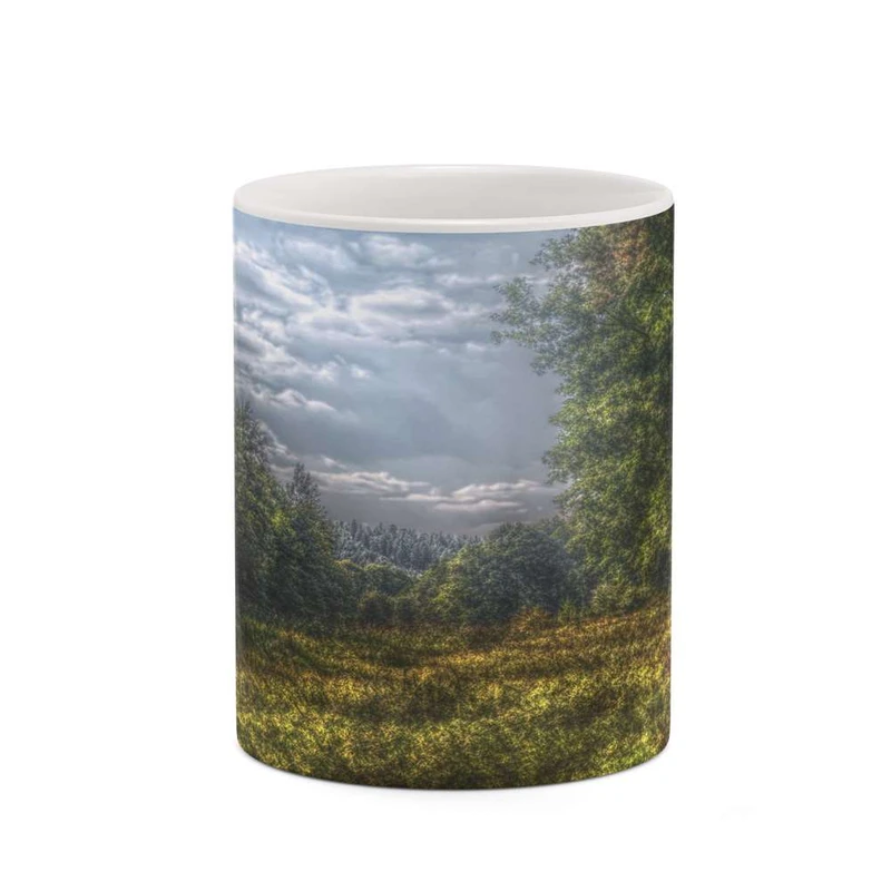 ماگ کاکتی مدل منظره کد mgh20764