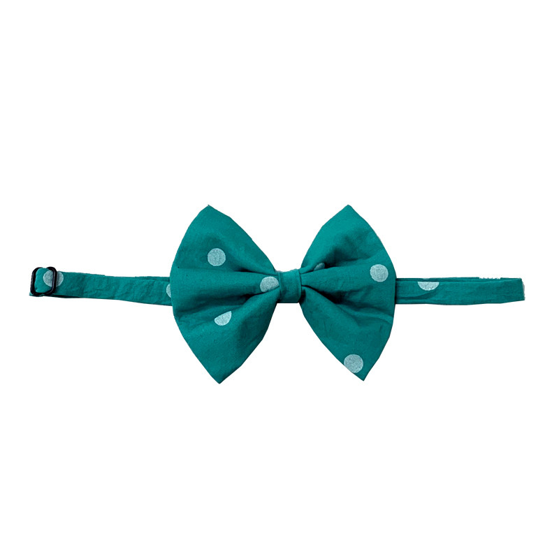 پاپیون سگ و گربه 1019