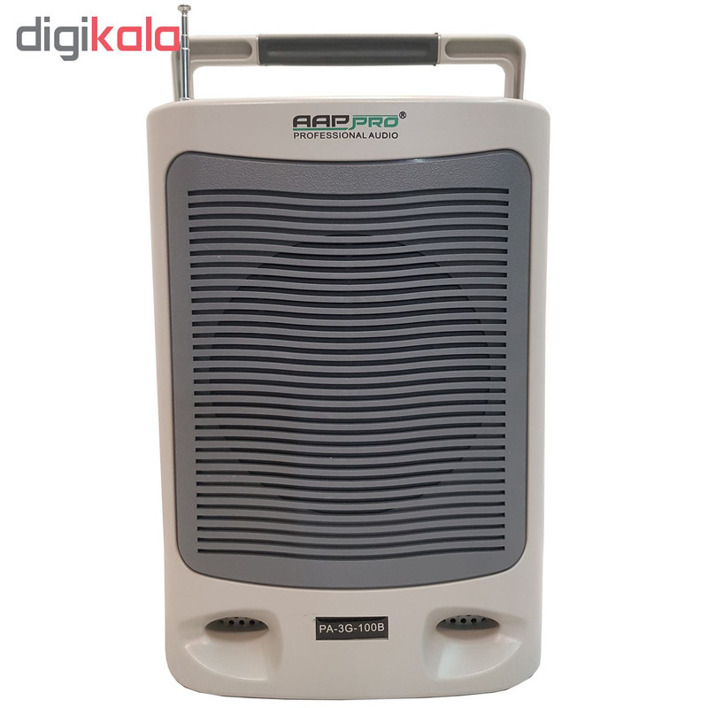 آمپلی فایر ای ای پی پرو مدل PA-3G-100B