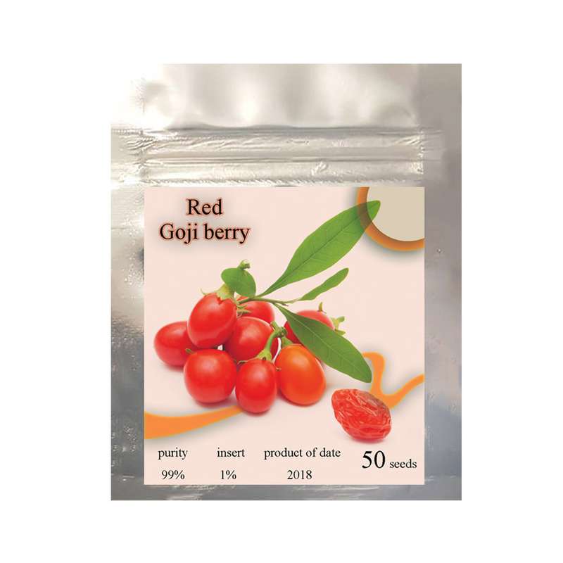 بذر میوه گوجی بری قرمز کد 111 بذر میوه گوجی بری قرمز کد 111