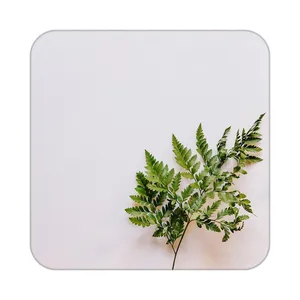 زیر لیوانی کاکتی طرح گل مدل mp17437