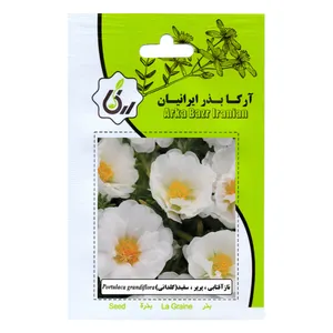 بذر ناز افتابی پرپر سفید آرکا بذر ایرانیان مدل C158